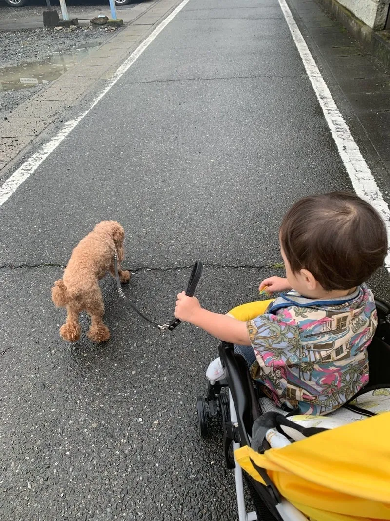 アクアゼオ一般講習会&アクアゼオプロ講習会&チワワのちこくん