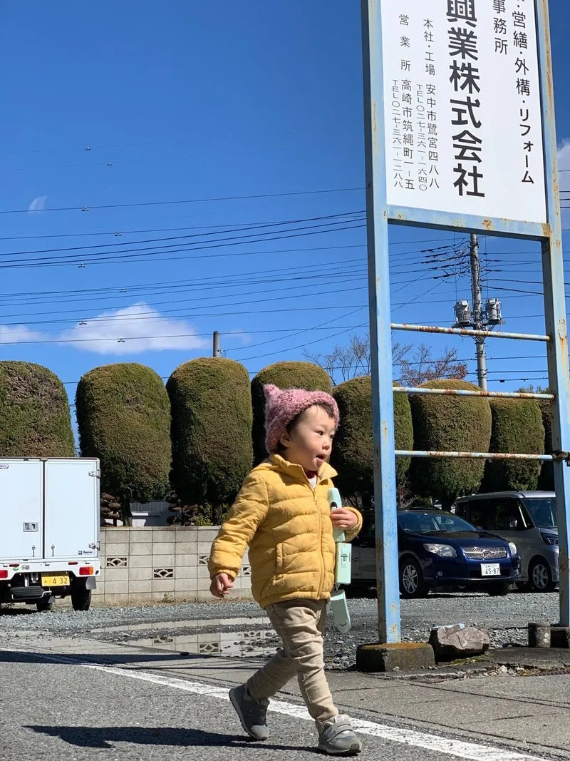 ダックスのジャックくん&Mixのモカちゃん&Mixのちゃちゃまるくん&チワワのさっちちゃん