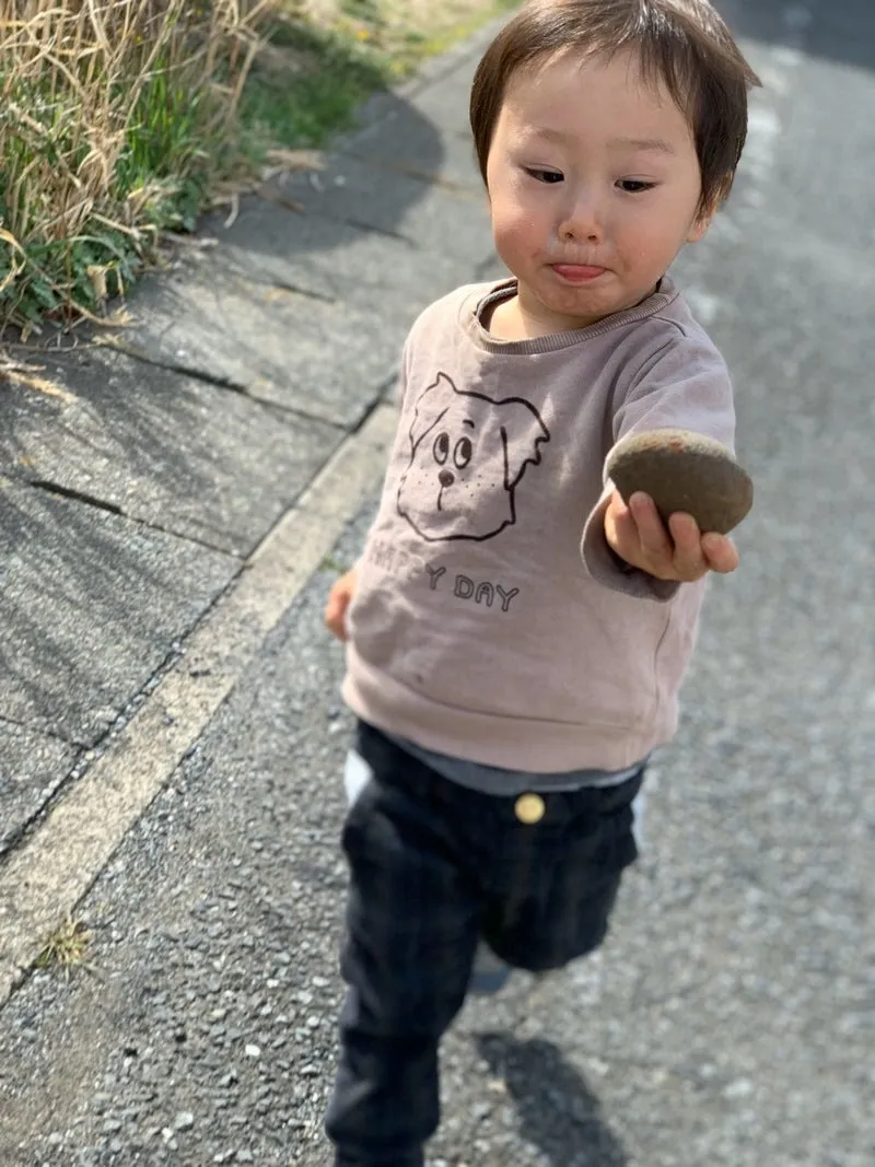 プードルのムムちゃん&プードルの大吉くん&Mixのゆずちゃん&チワワのいちごちゃん