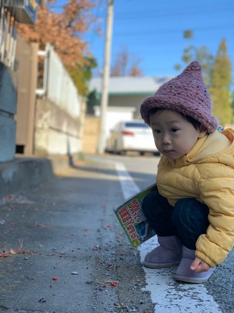 ポメラニアンのポムくん&Mixのチョコくん&プードルのティアラちゃん&ゴールデンのタラちゃん