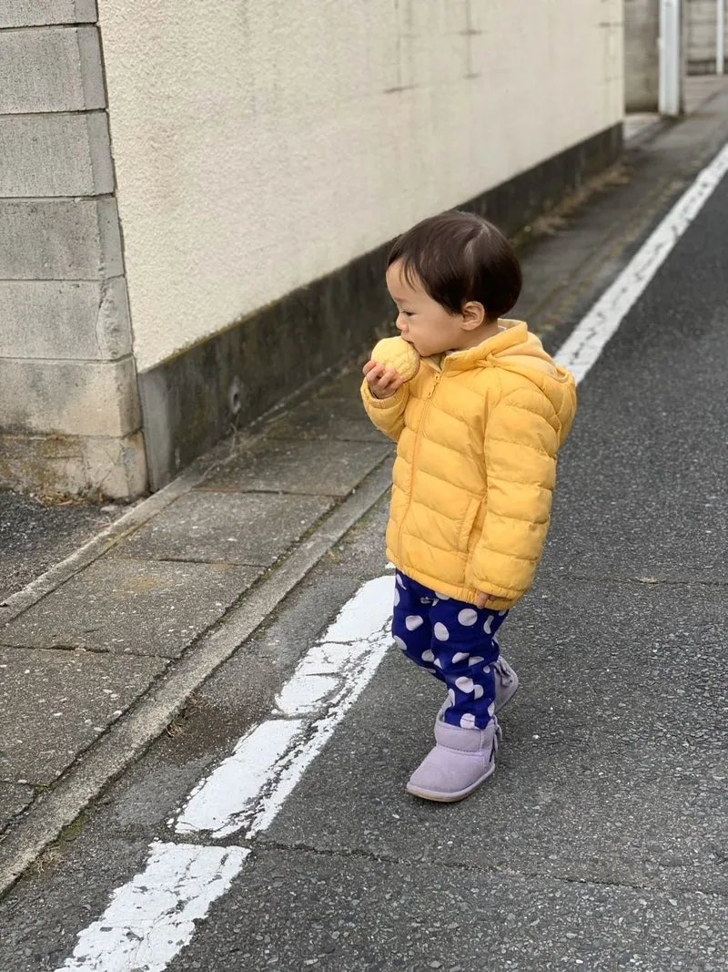 Mixのルルくん&ヨークシャテリアのハルくん