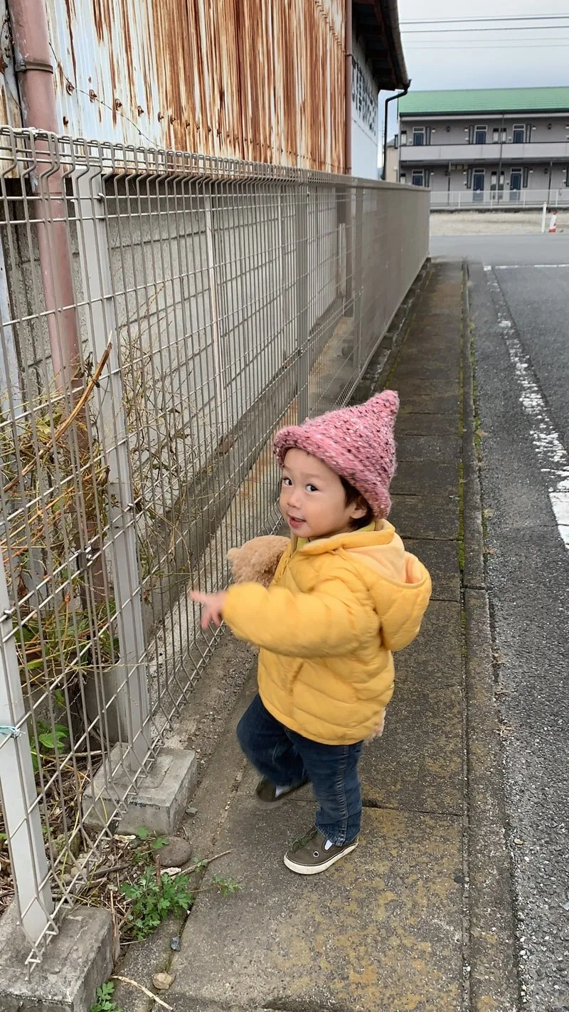 ワイヤーダックスのモカちゃん&ココちゃん&マルチーズのジャスミンちゃん&プードルのボスくん