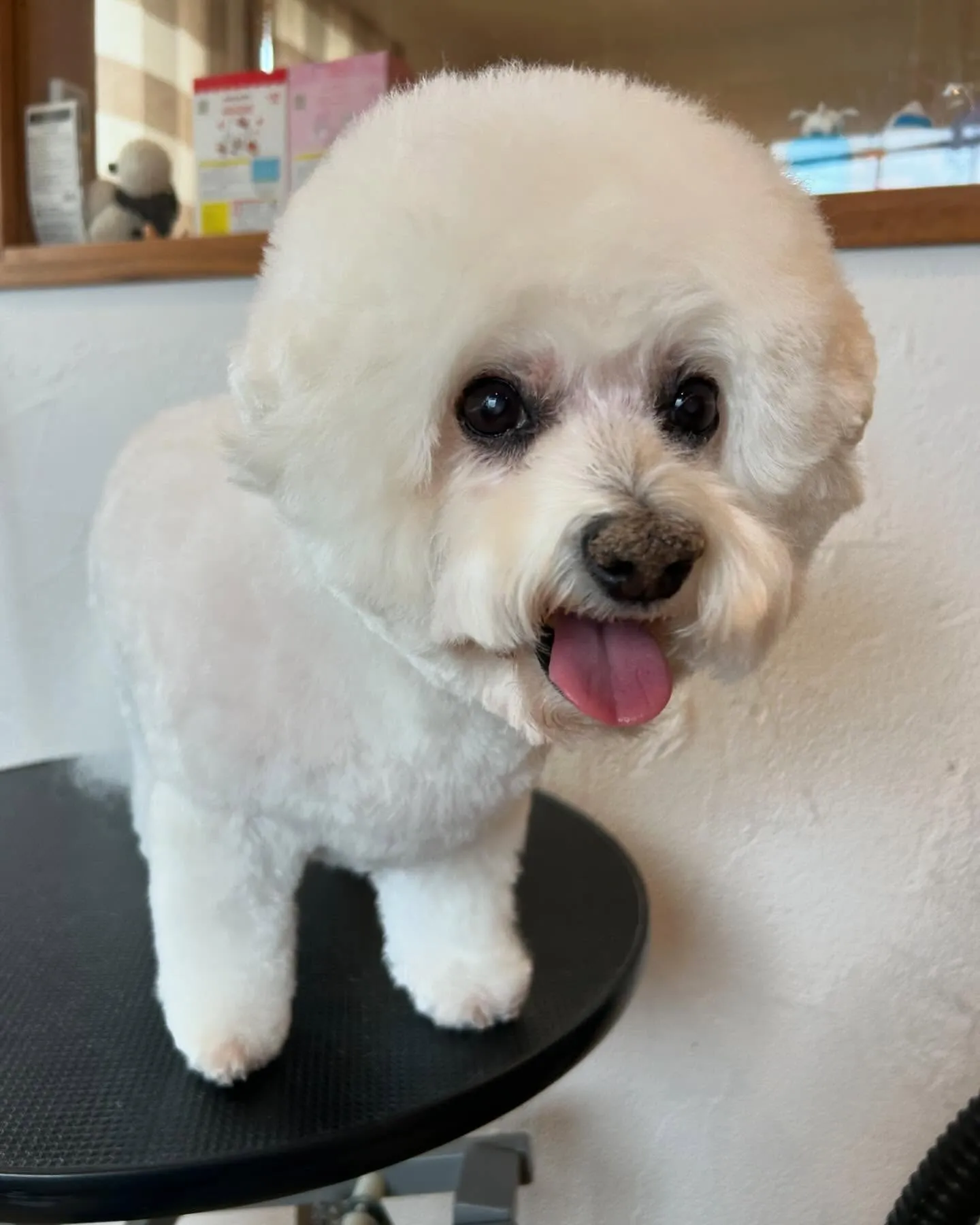 🌟今日は可愛いお友達が遊びに来てくれました！🌟