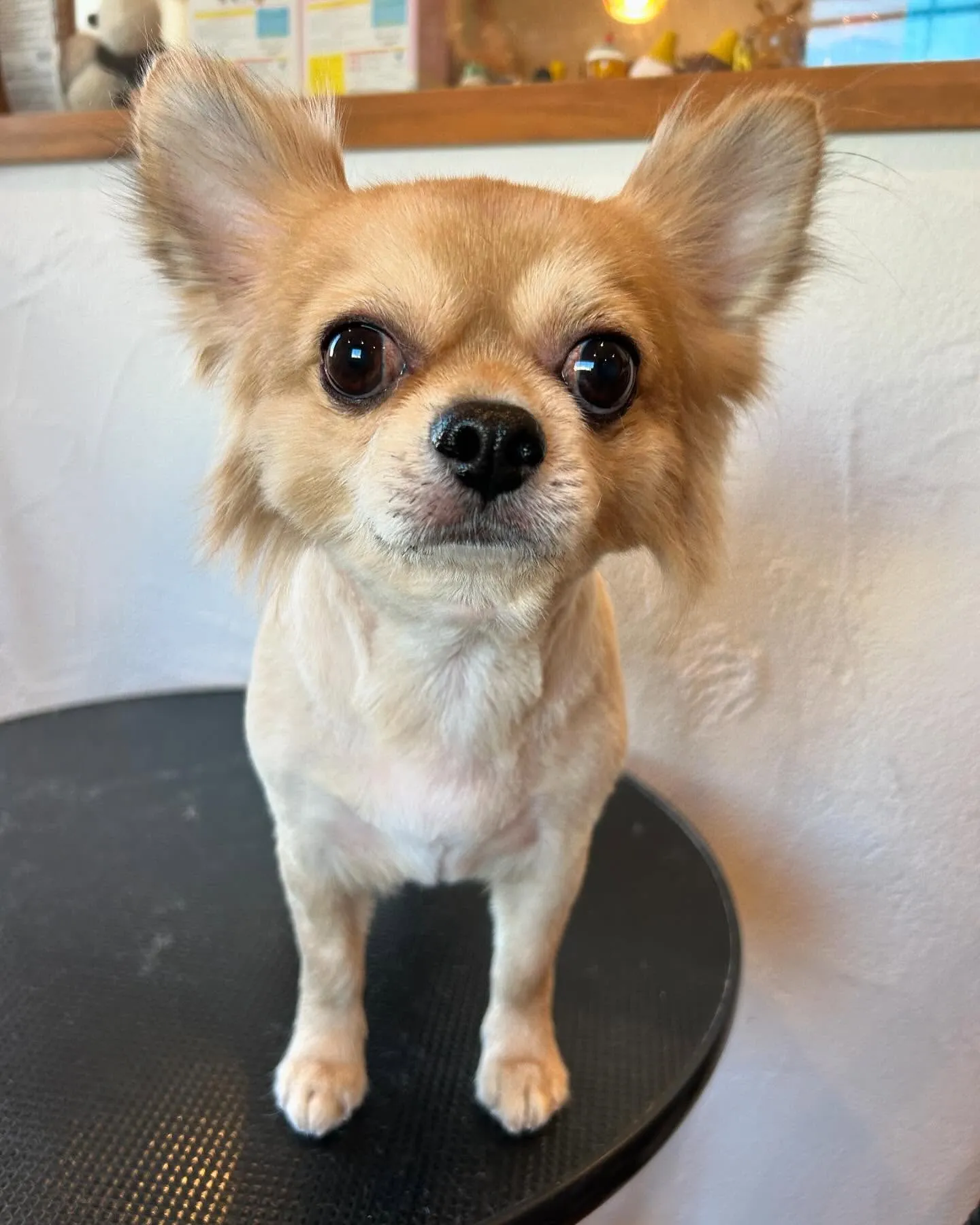 🌟今日は可愛いお友達が遊びに来てくれました！🌟