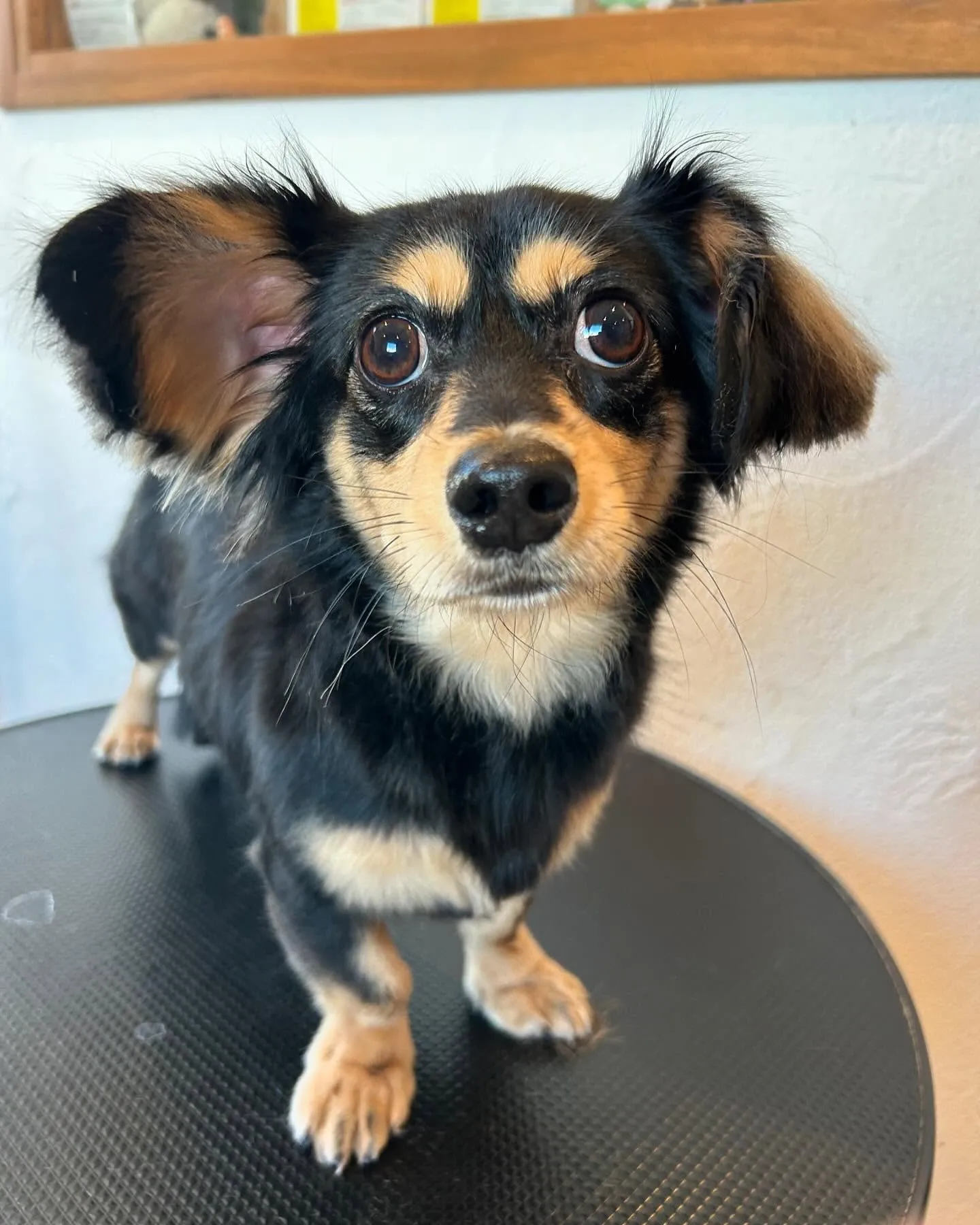 ハローキティの一番くじのラストワン賞がどうしても欲しくて、最...