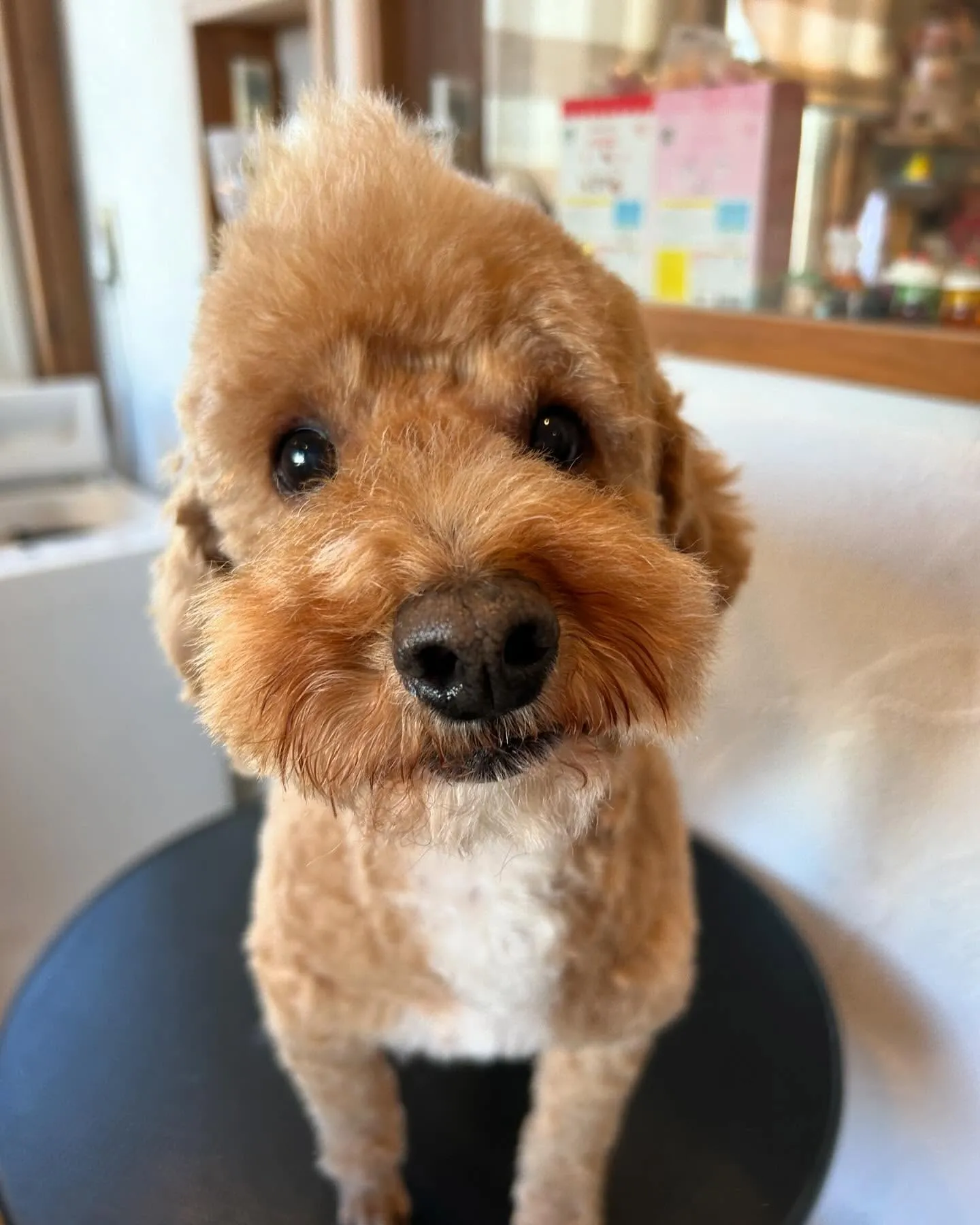 ハローキティの一番くじのラストワン賞がどうしても欲しくて、最...