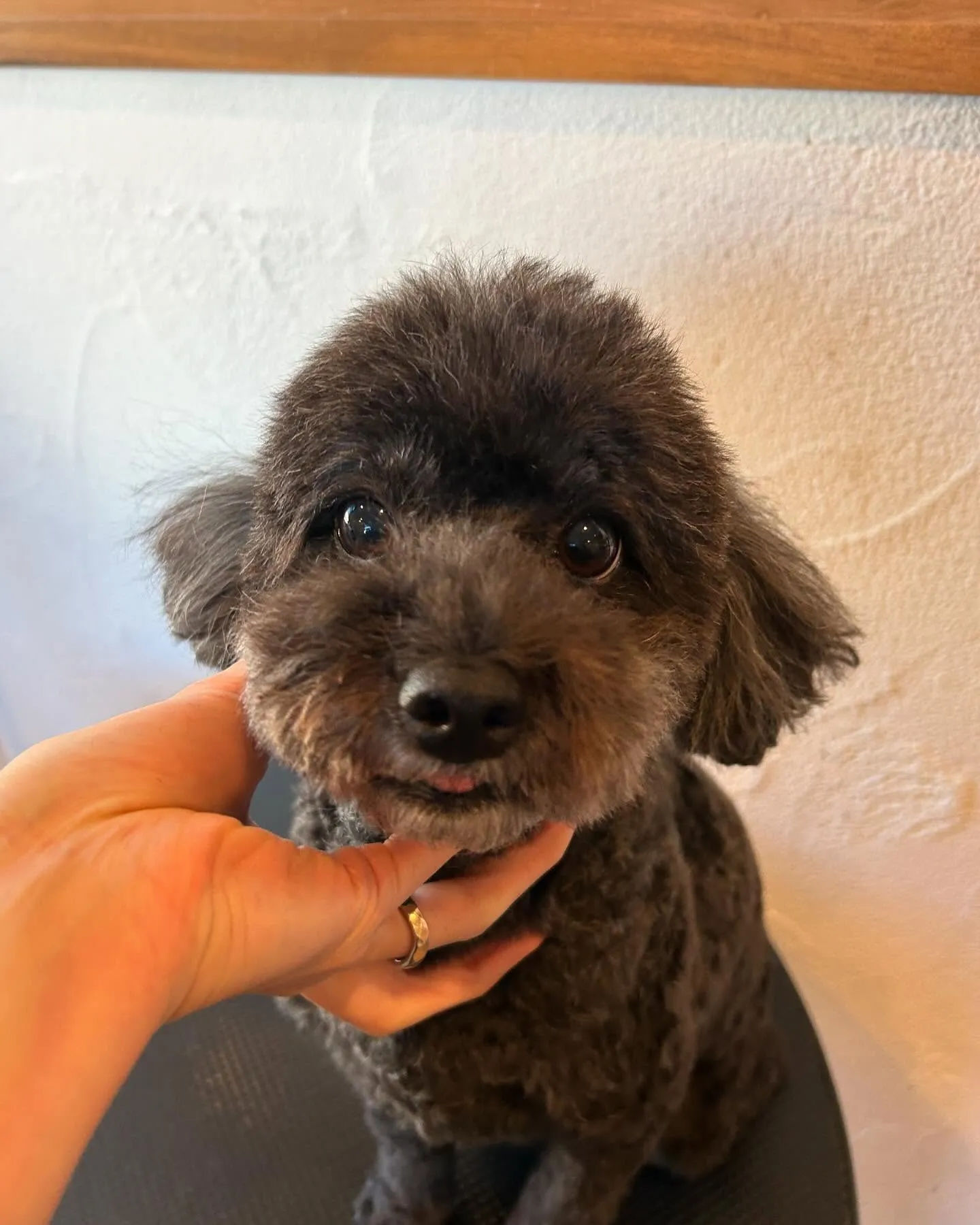 ハローキティの一番くじのラストワン賞がどうしても欲しくて、最...