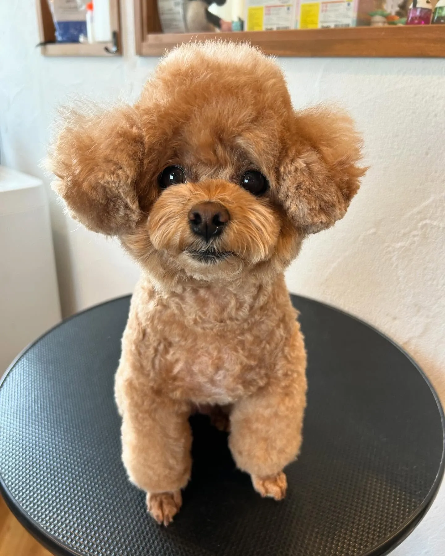 今日も特別な一日！