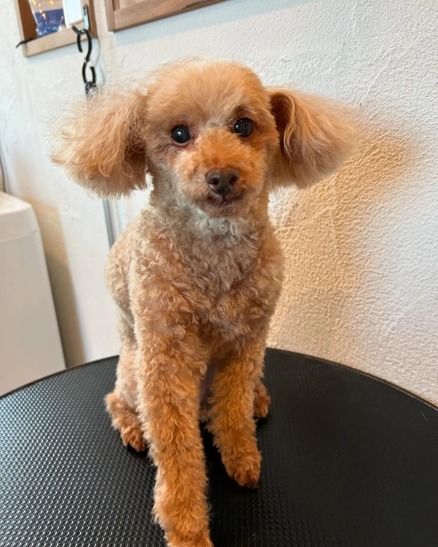 今日も特別な一日！