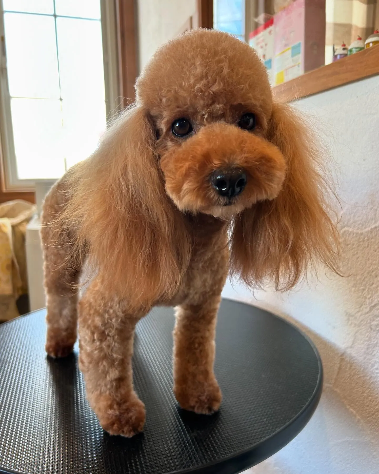 今日もたくさんのお友達が遊びに来てくれて、にぎやかだったよ🤗...