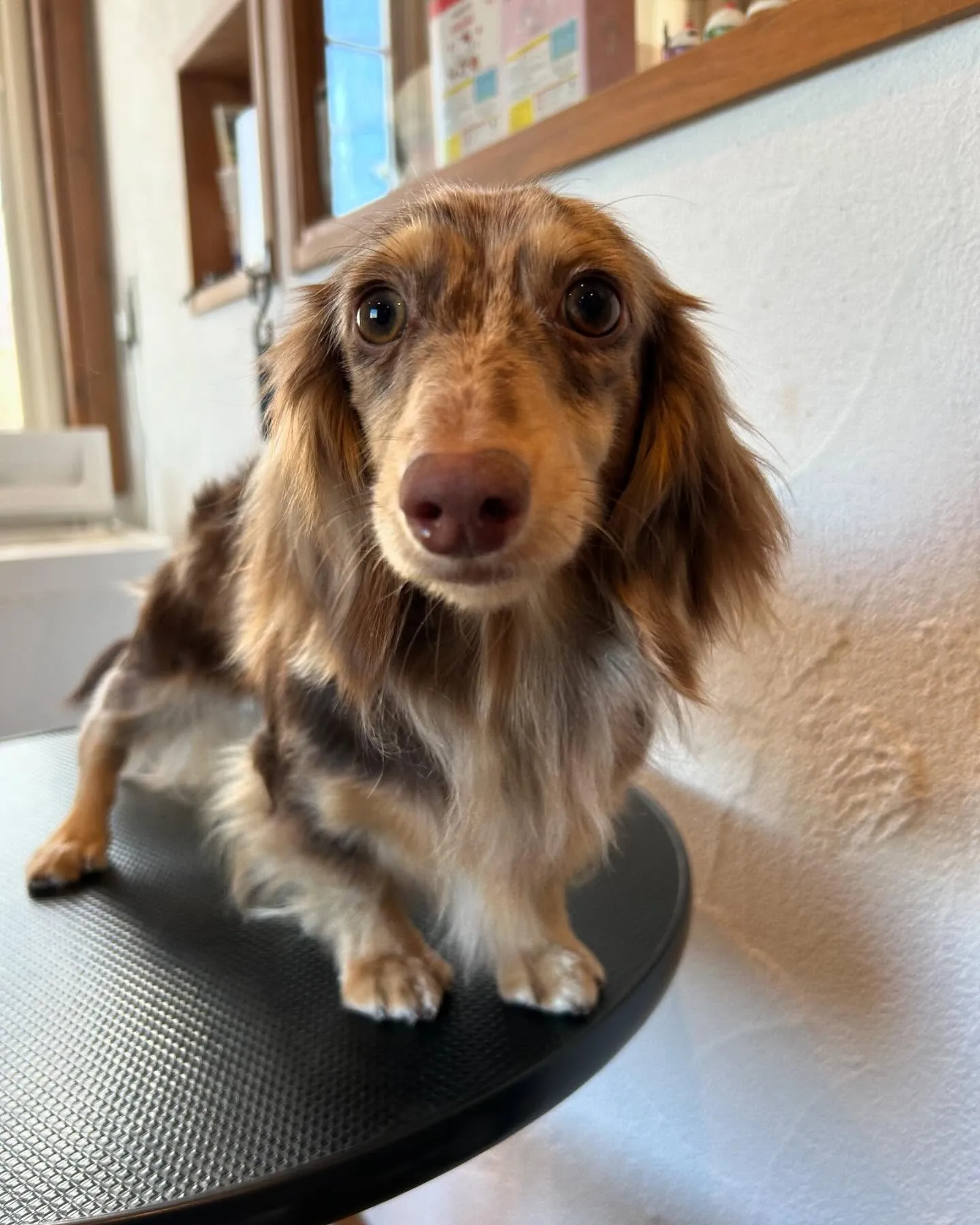 今日もたくさんのお友達が遊びに来てくれて、にぎやかだったよ🤗...