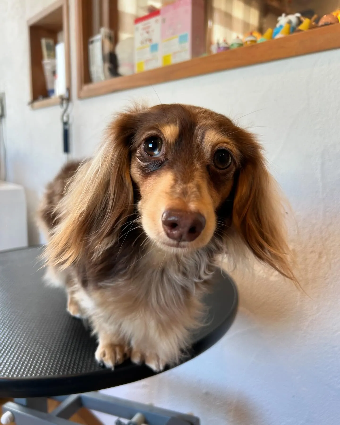 今日もたくさんのお友達が遊びに来てくれて、にぎやかだったよ🤗...