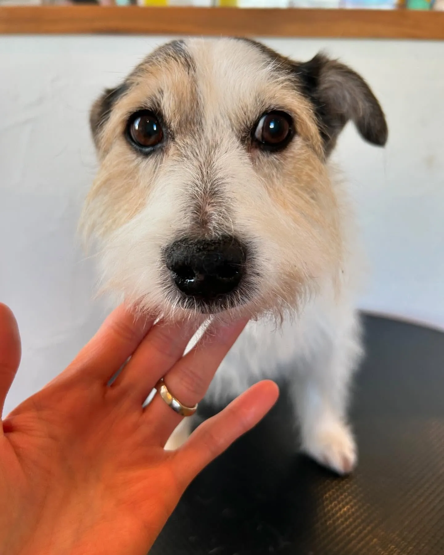 今日もたくさんのお友達が遊びに来てくれて、にぎやかだったよ🤗...