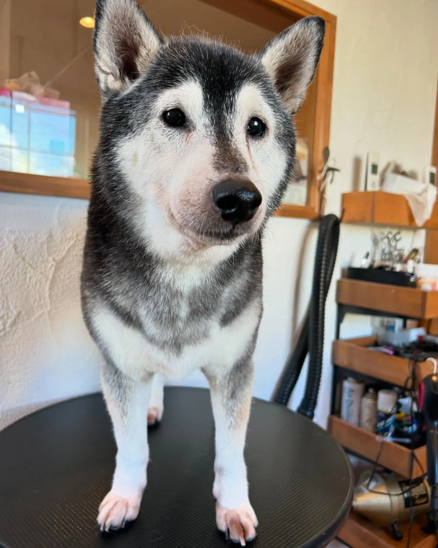 今日もたくさんのお友達が遊びに来てくれて、にぎやかだったよ🤗...