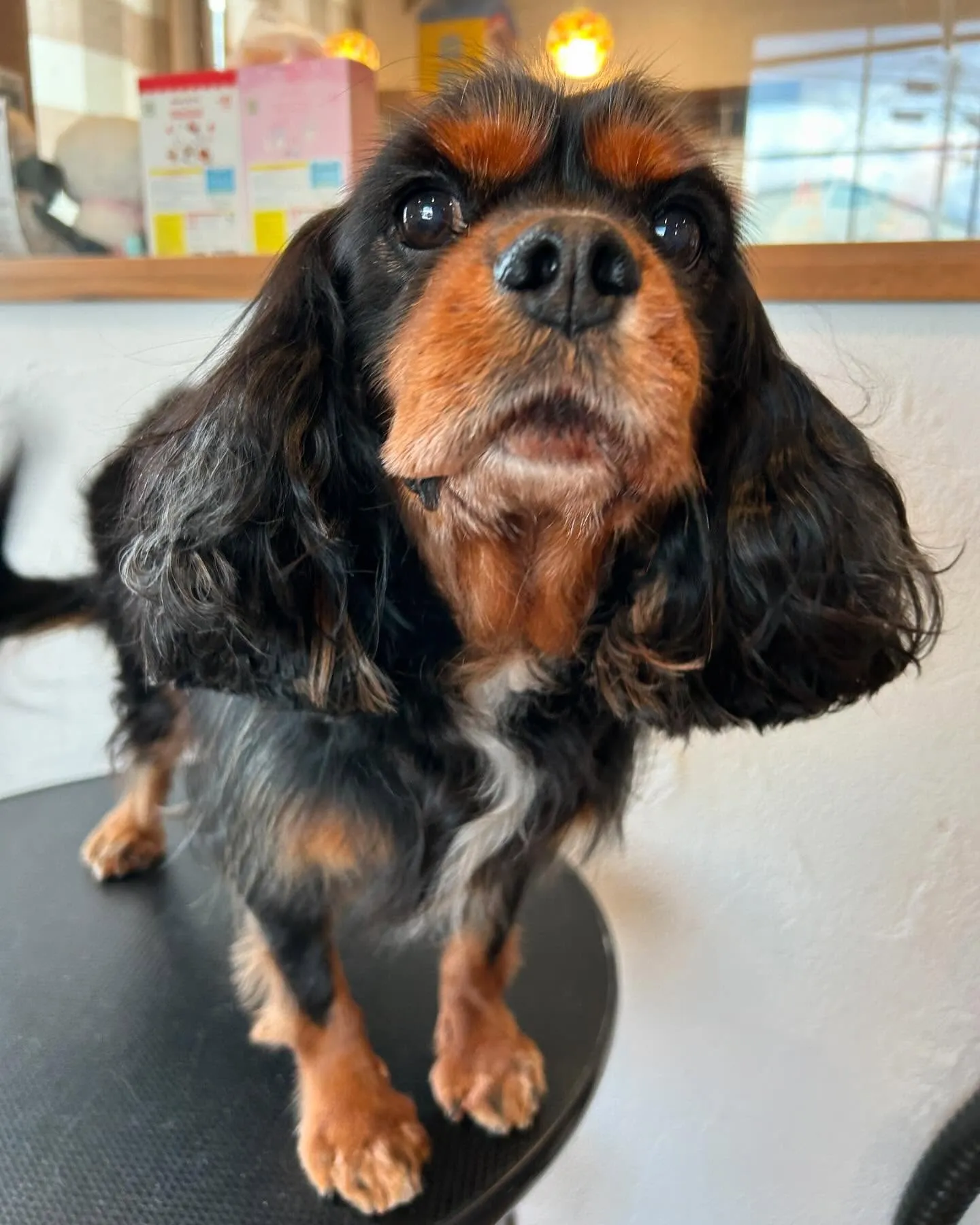 このゆっちゃんが可愛くてとってもお気に入り😍