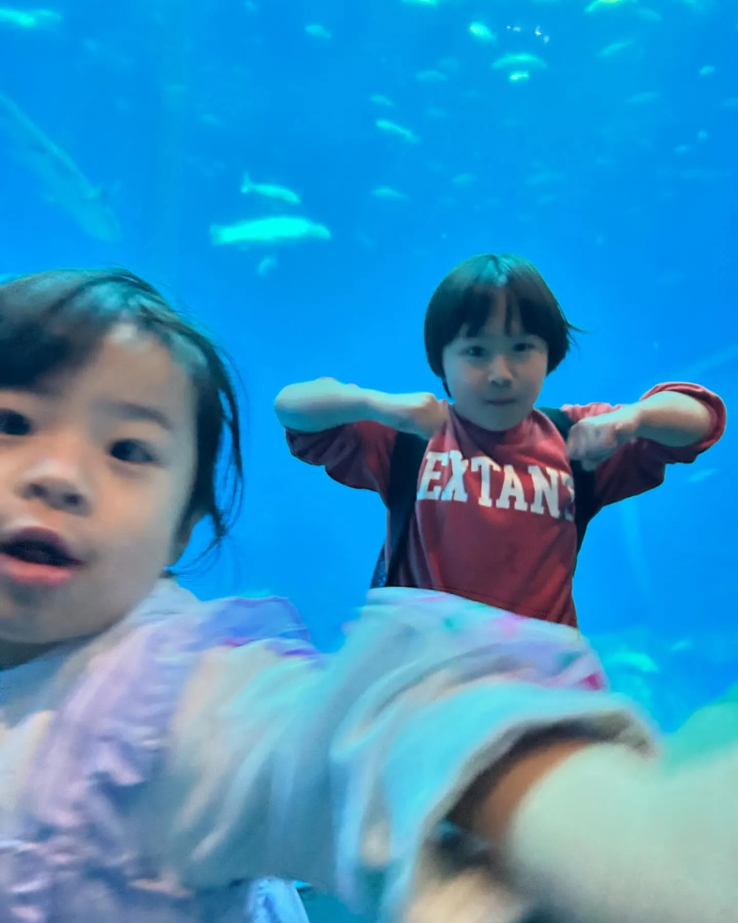 前からちーちゃんと計画していた