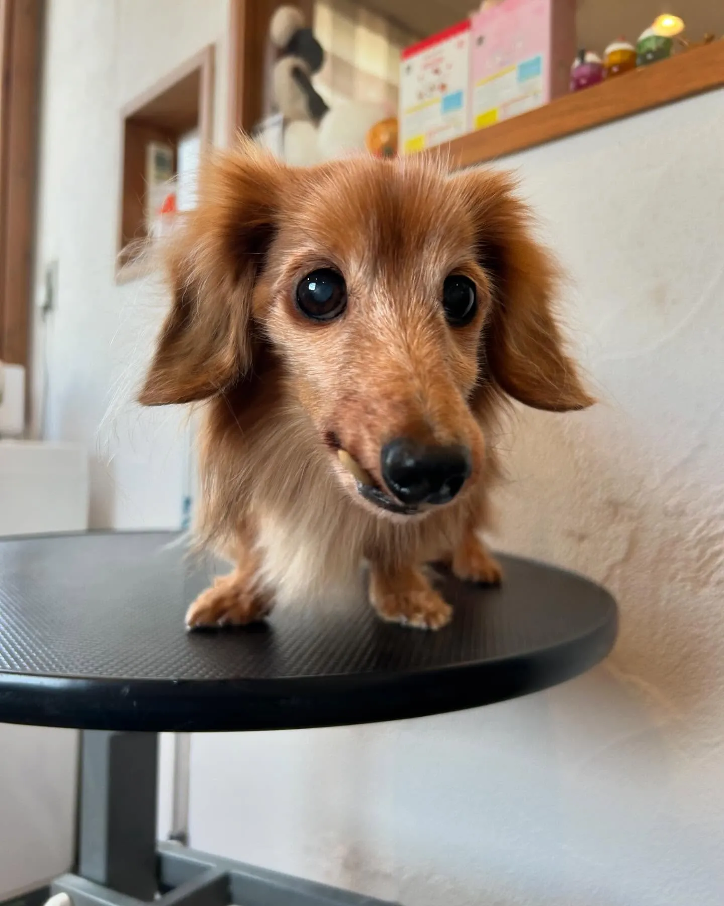 今日も楽しい一日だったよ!🌟