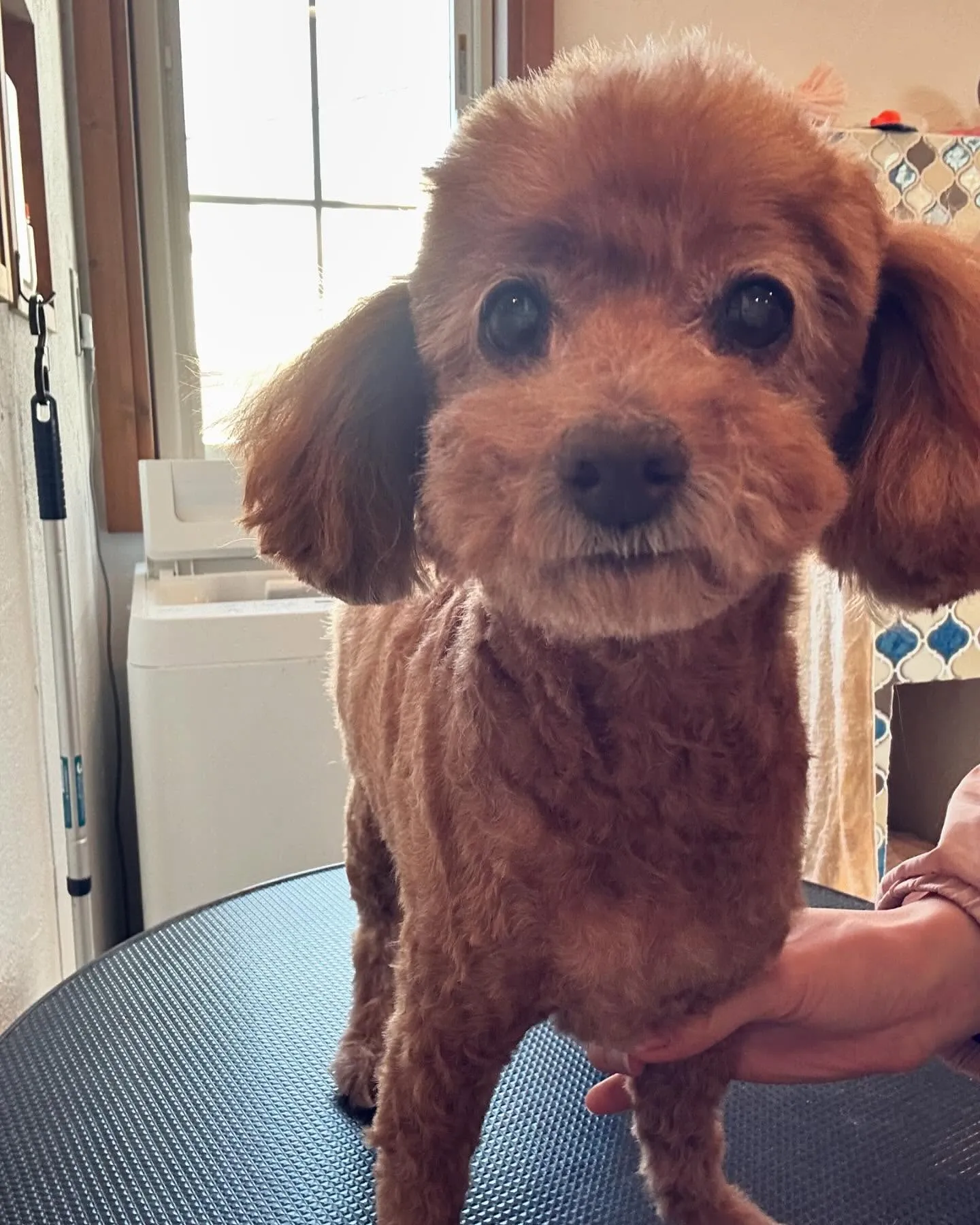 今日も楽しい一日だったよ!🌟