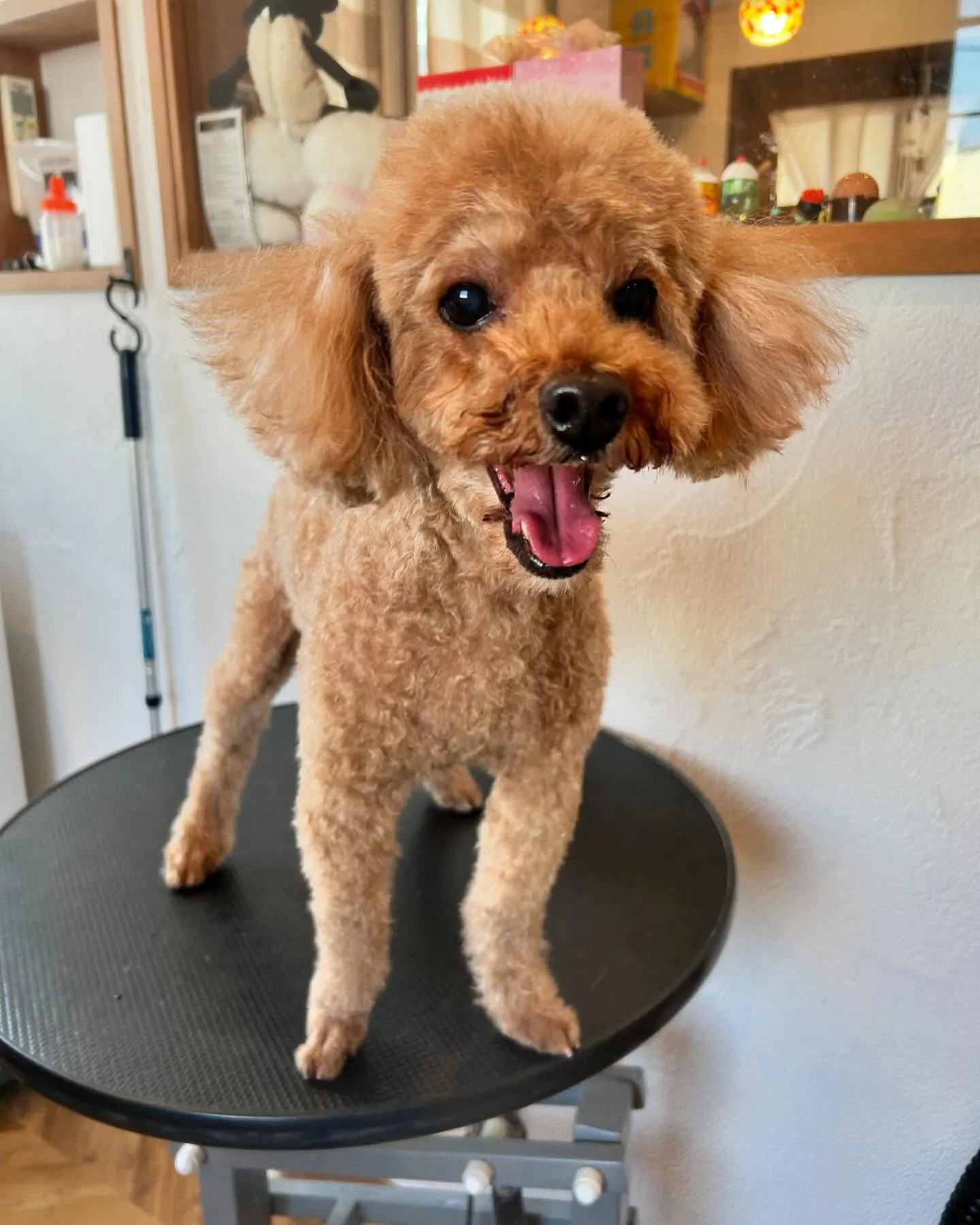 柚月さん、どんな顔も可愛いです🥰←親バカ