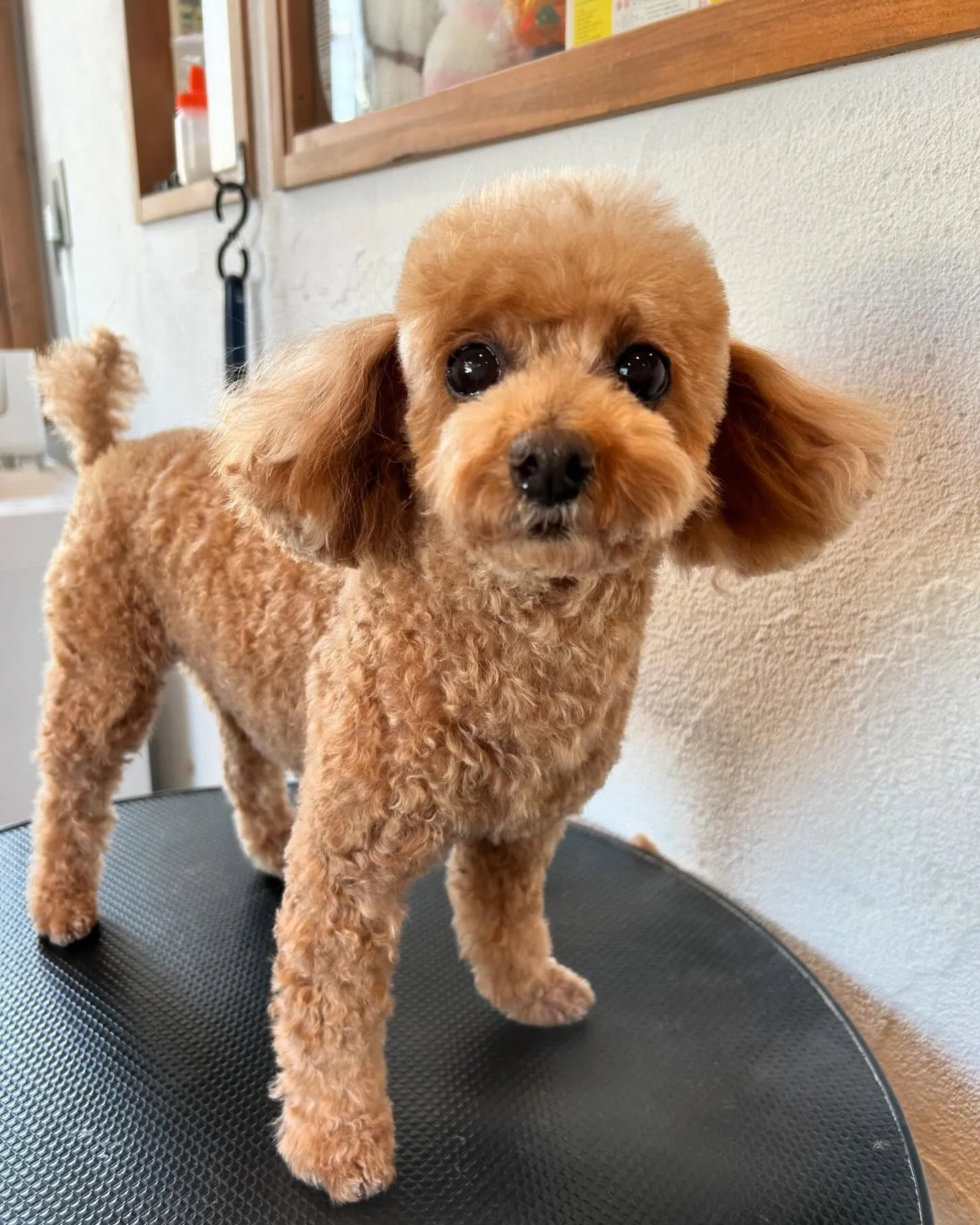 柚月さん、どんな顔も可愛いです🥰←親バカ