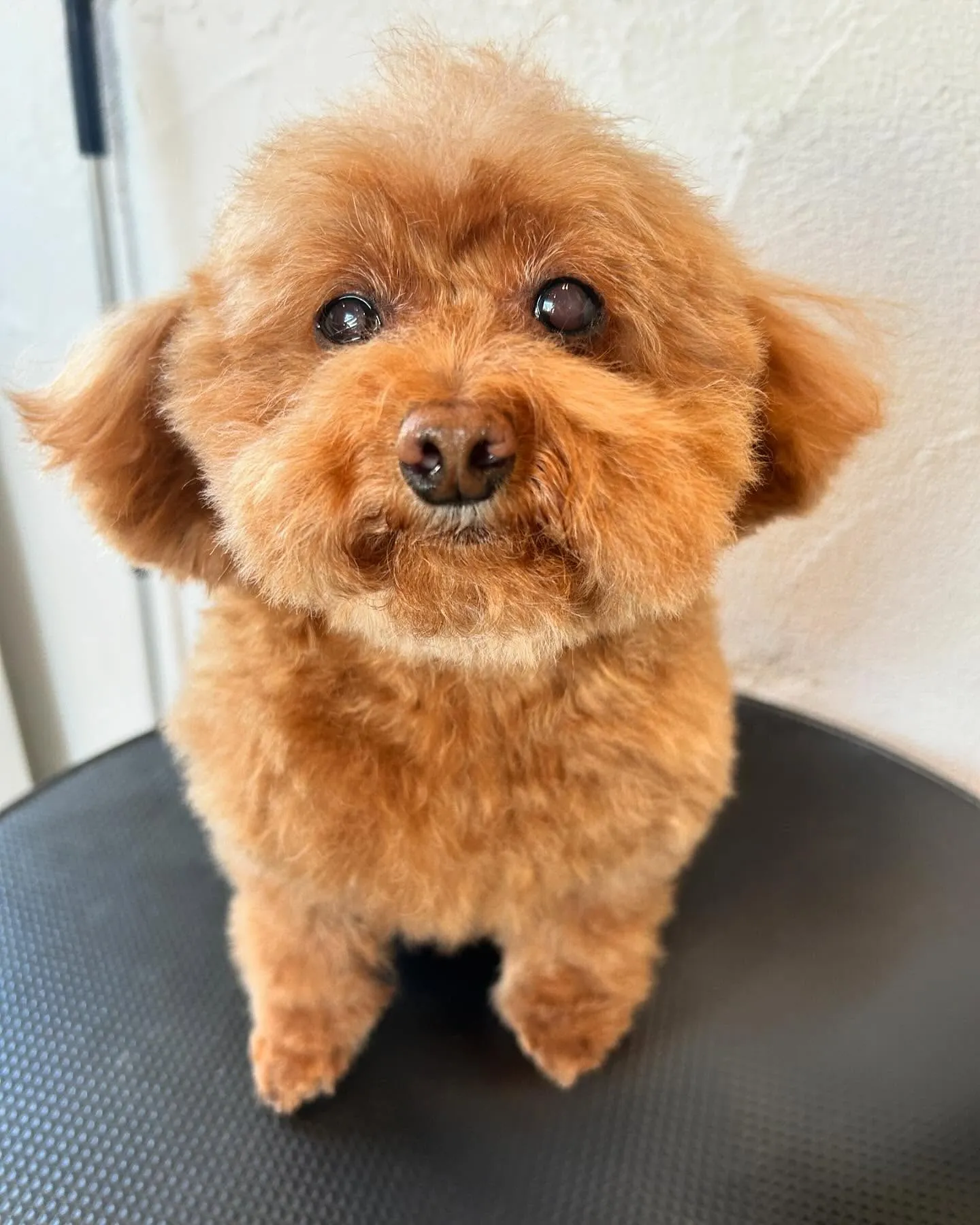 柚月さん、どんな顔も可愛いです🥰←親バカ