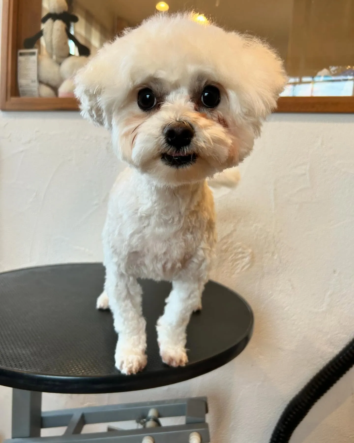 柚月さん、どんな顔も可愛いです🥰←親バカ