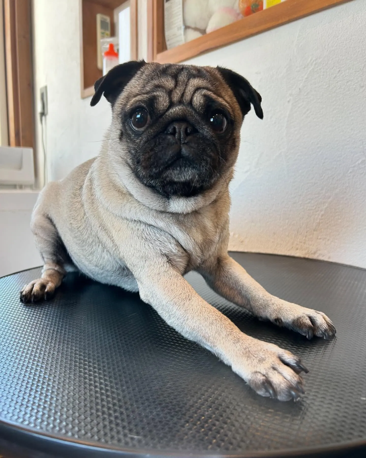 今日は午後から特別な時間🌟