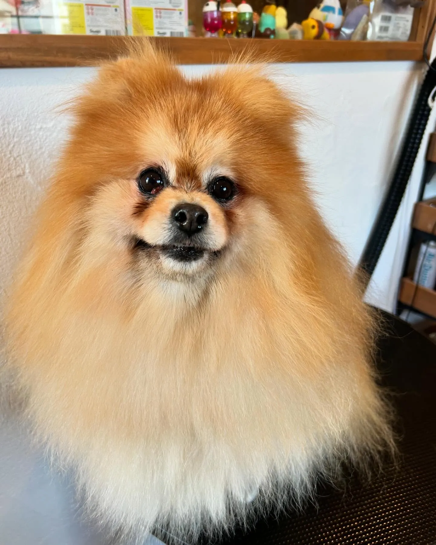 今日も楽しい一日だった👍