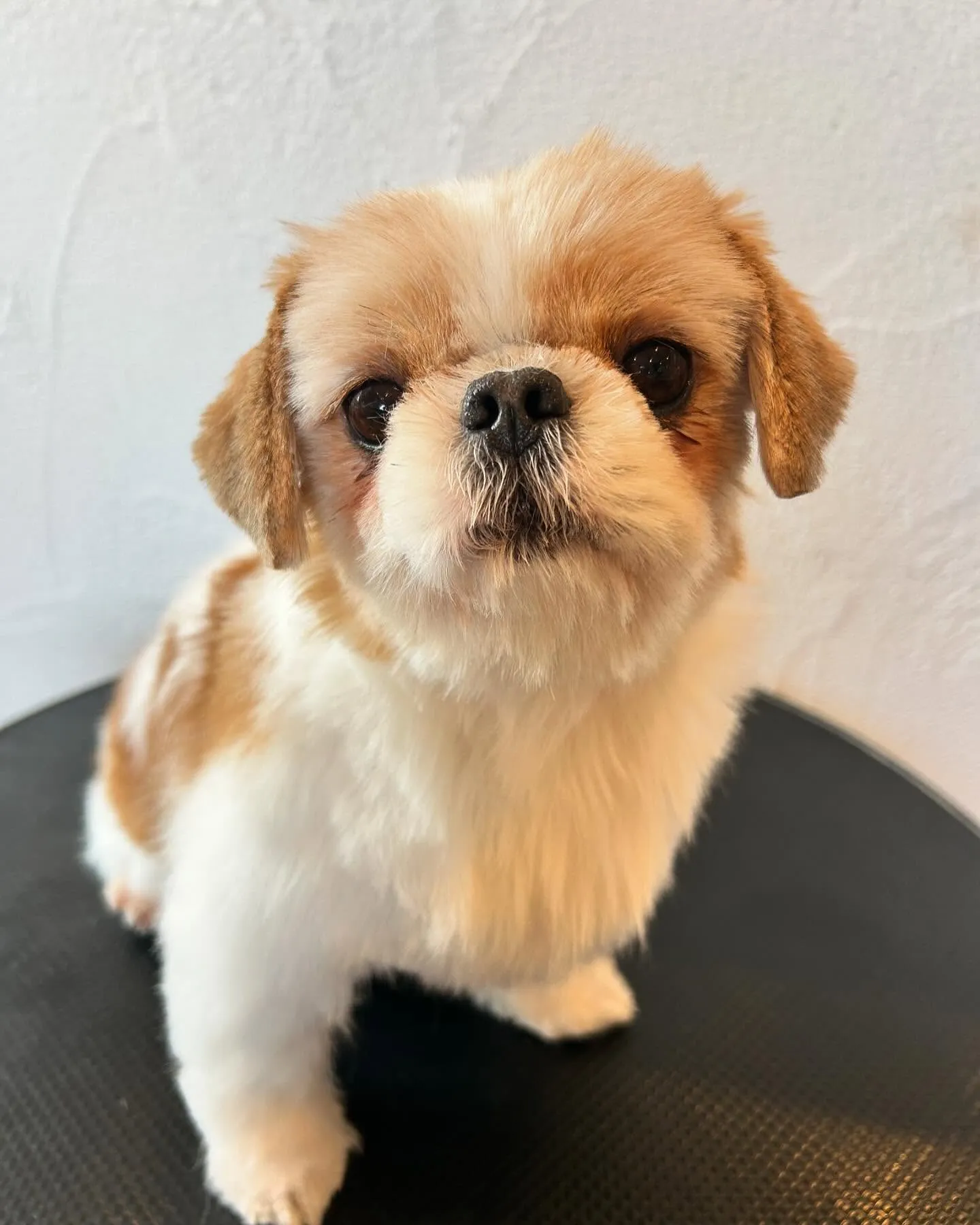 今日も楽しい一日だった👍