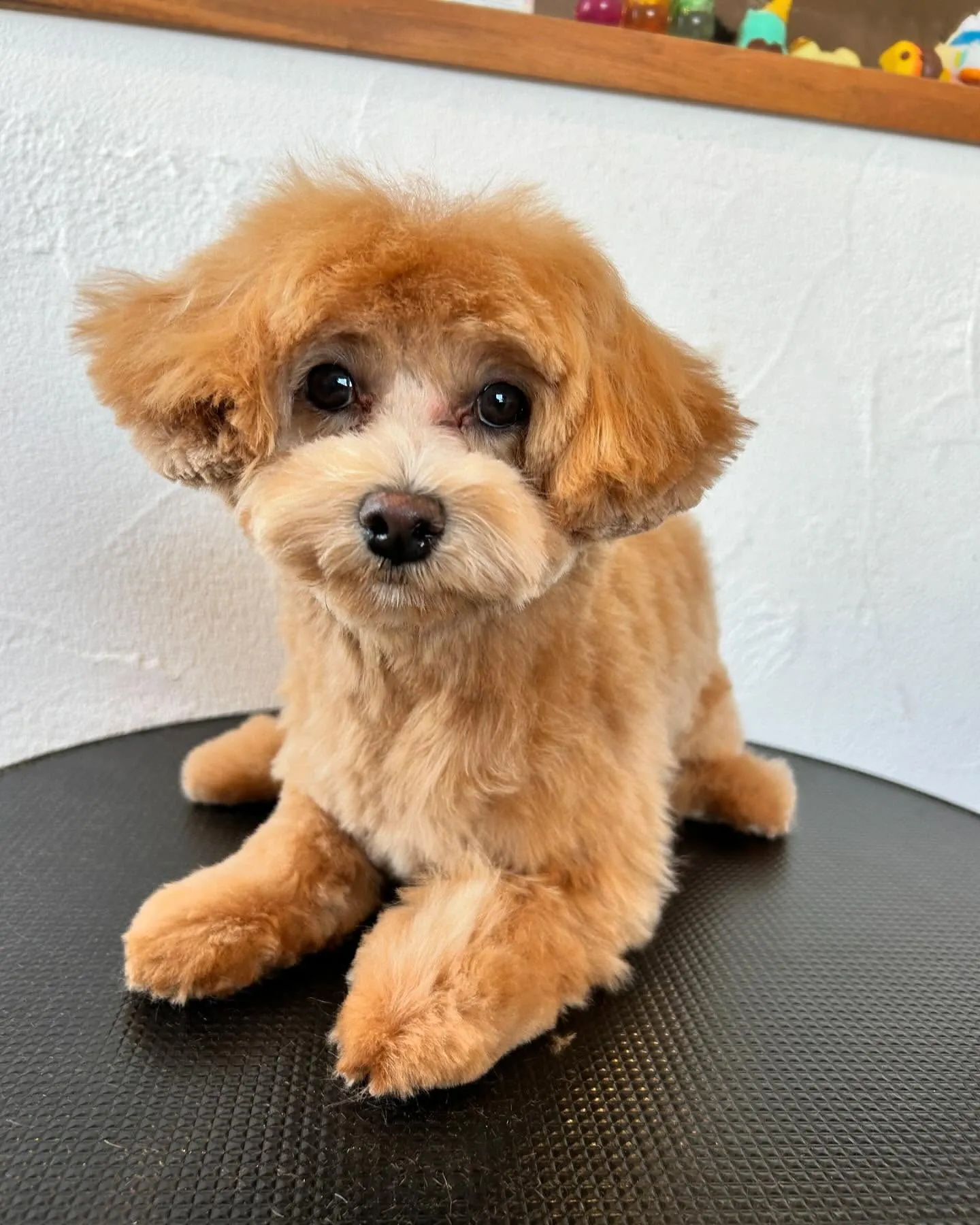 今日も楽しい一日だった👍