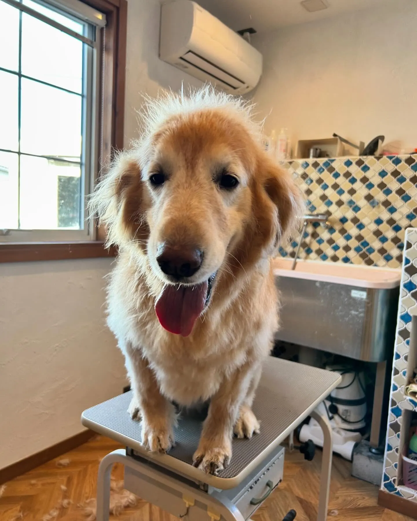 今日も楽しい一日だった👍