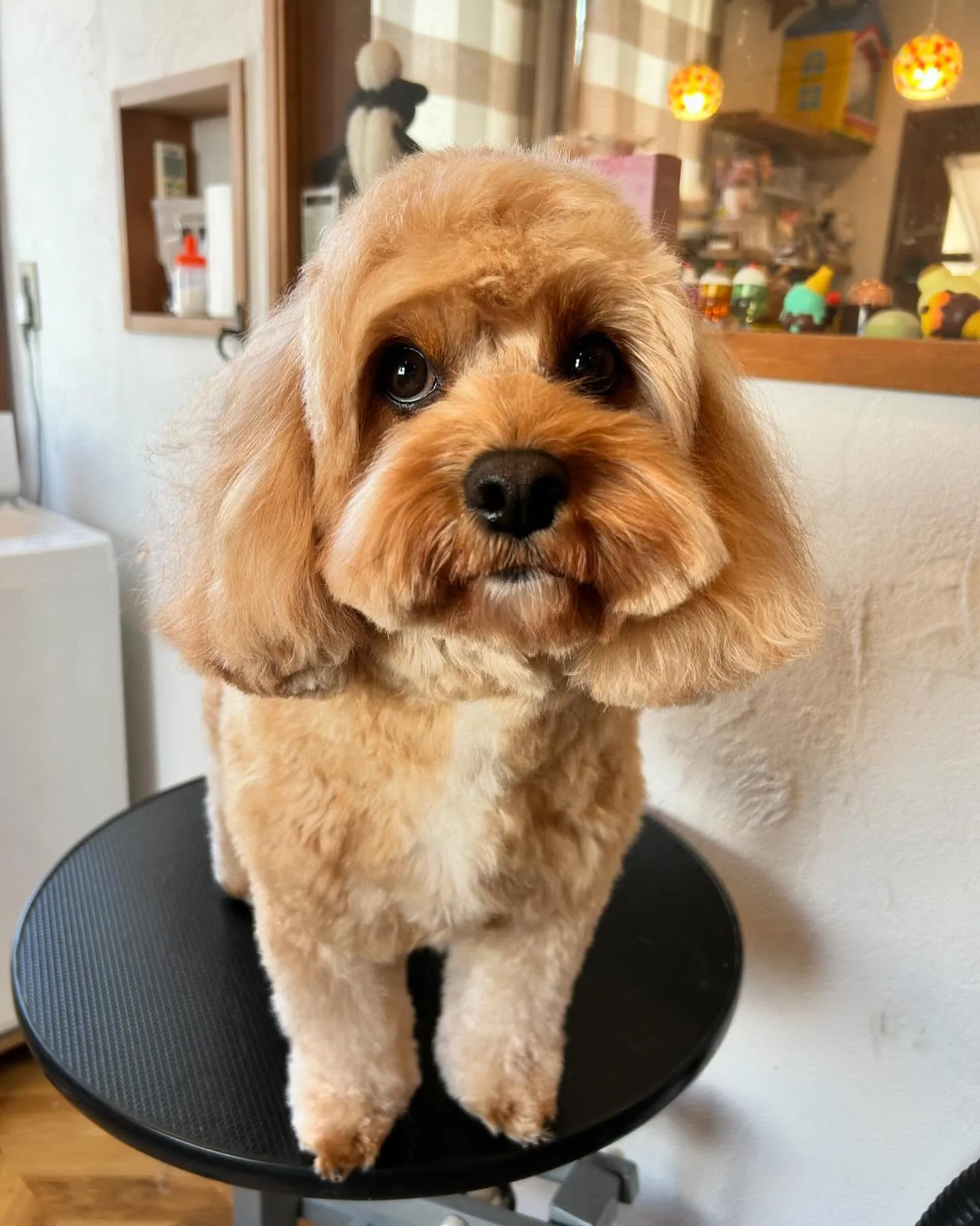 今日も賑やかな一日でした✨