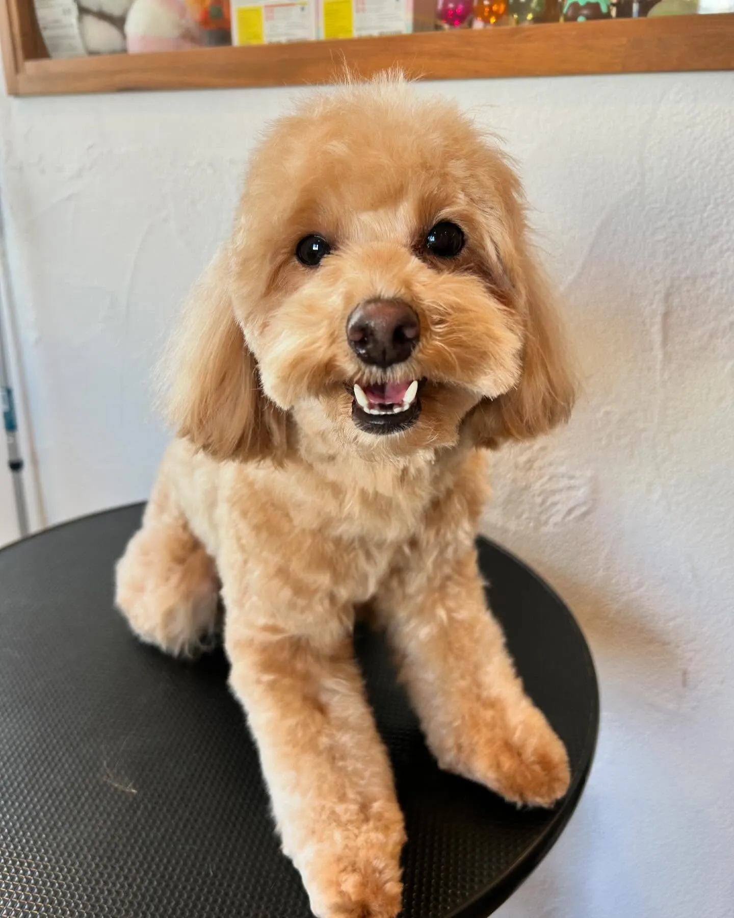 今日も賑やかな一日でした✨