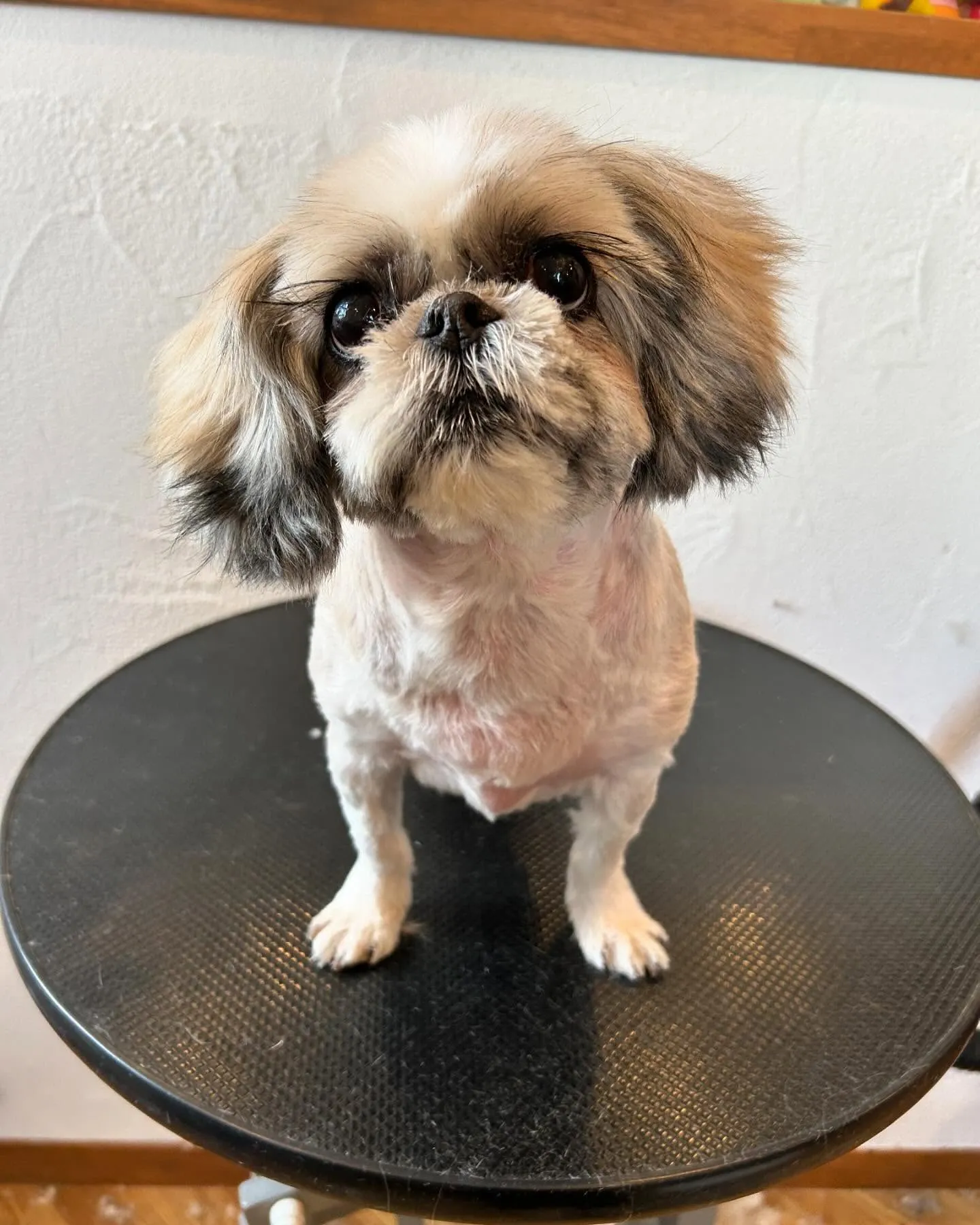 今日も賑やかな一日でした✨