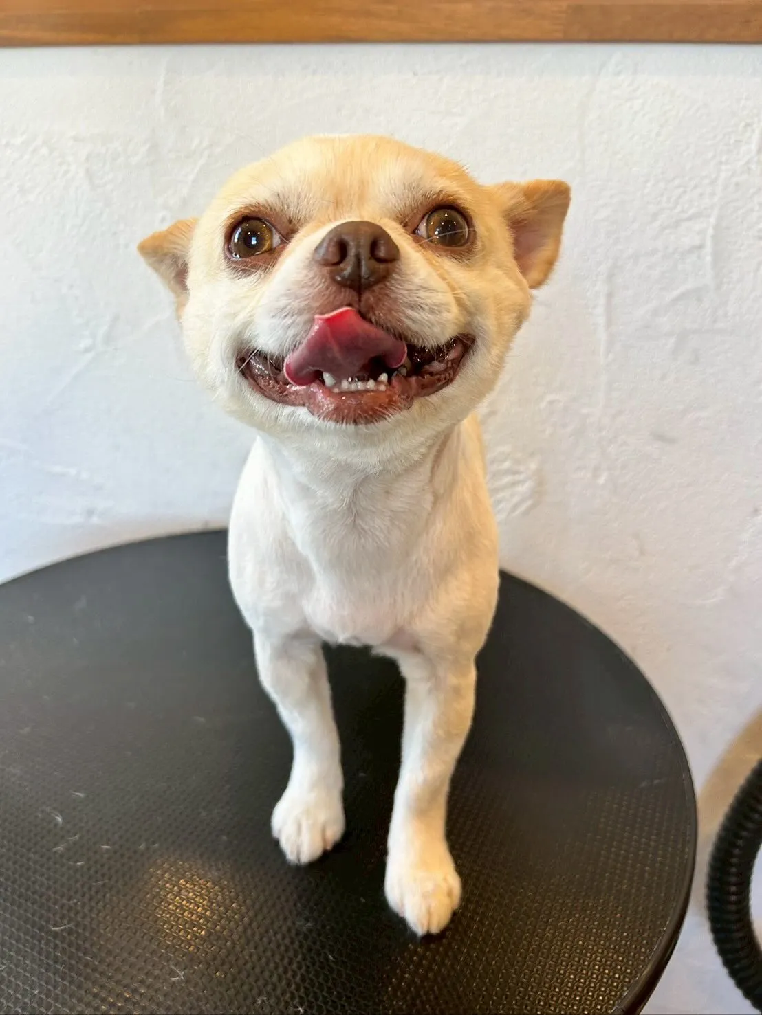 今日もとっても楽しい一日でした！