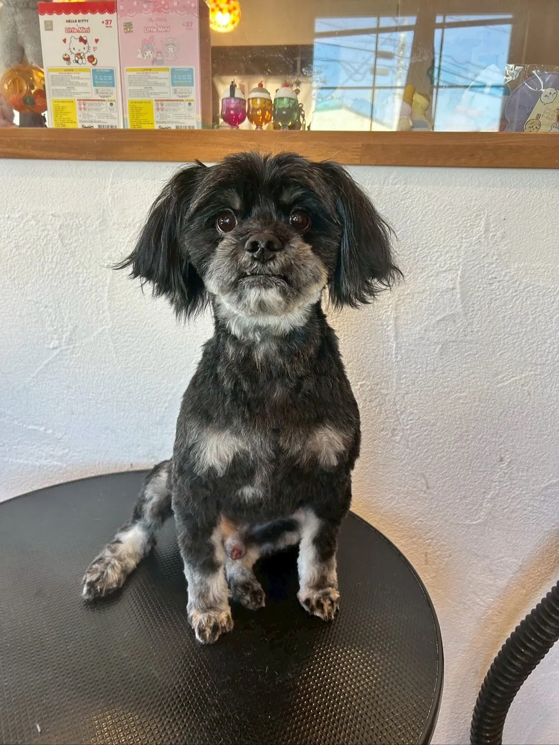 今日もとっても楽しい一日でした！