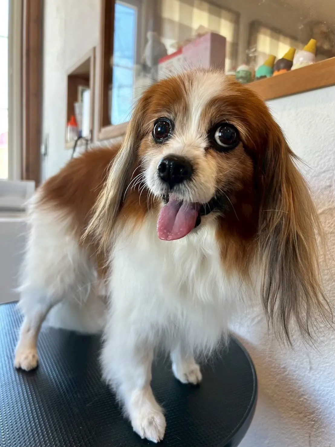 🌟今日も盛りだくさんな1日でした！