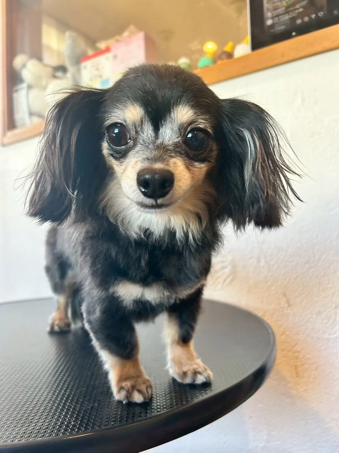 🌟今日も盛りだくさんな1日でした!