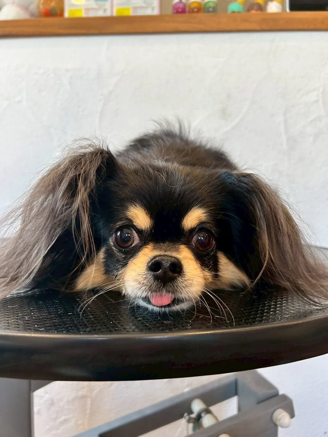 🌟 今日もお客様がいっぱい来てくれました！✨