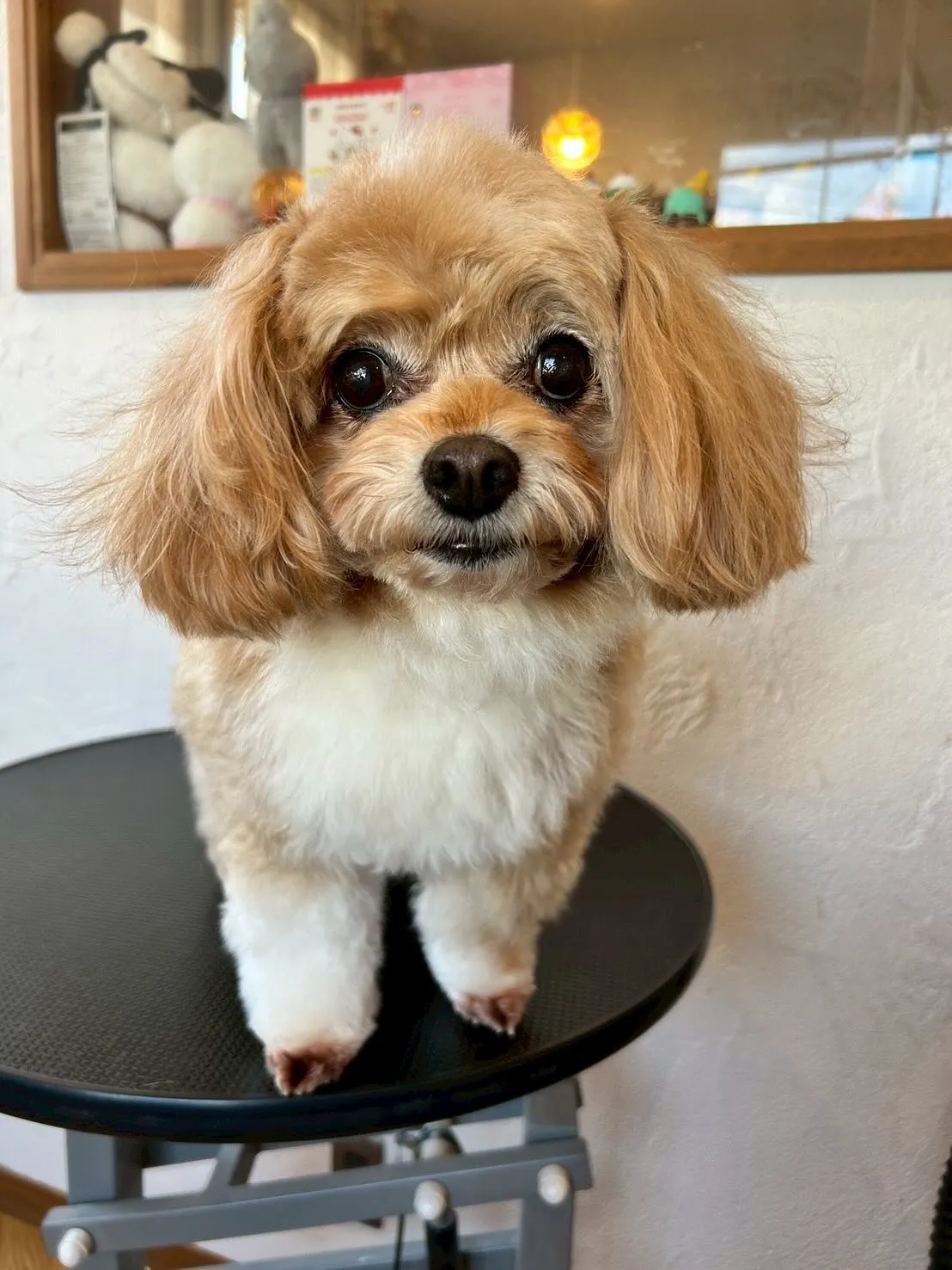 🌟 今日もお客様がいっぱい来てくれました!✨