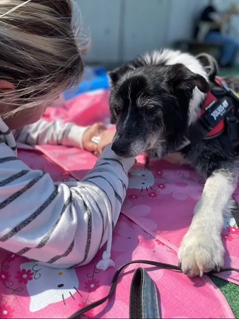 🌟 今日もトリミングサロンは愛らしいお客様でいっぱい!