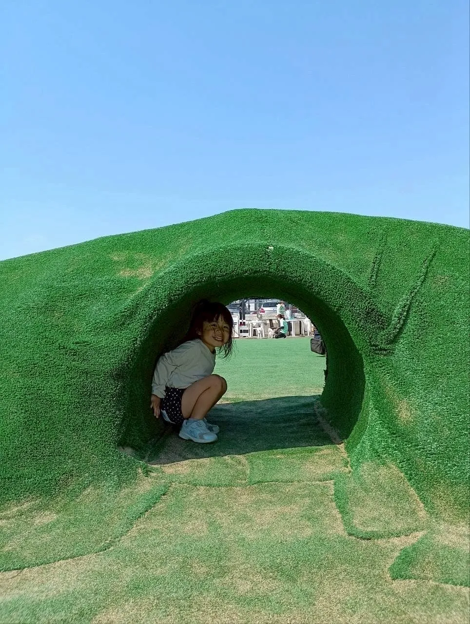 🌟 今日もトリミングサロンは愛らしいお客様でいっぱい!