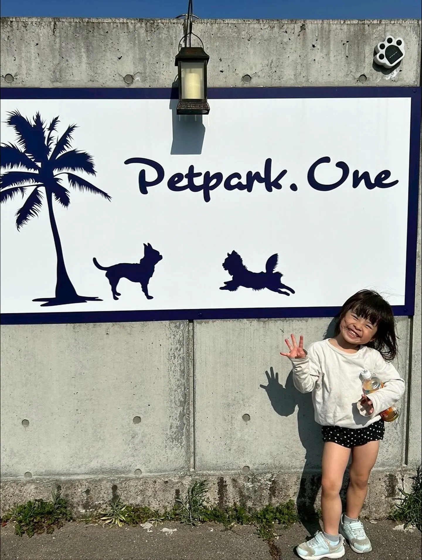 🌟 今日もトリミングサロンは愛らしいお客様でいっぱい!