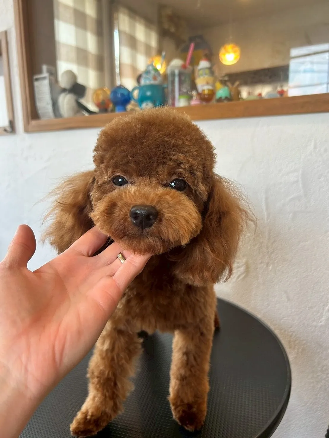 今日もとっても楽しい一日でした🐾✨