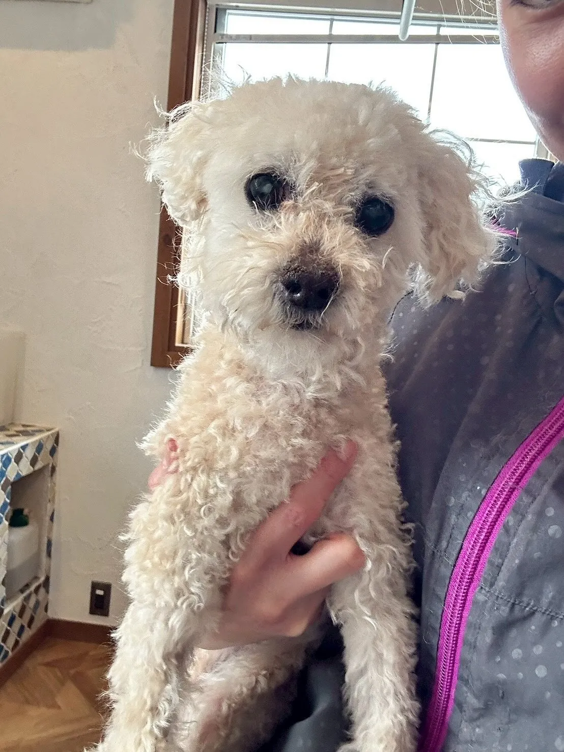 かわいいお友達がいっぱい来てくれました!🐾✨