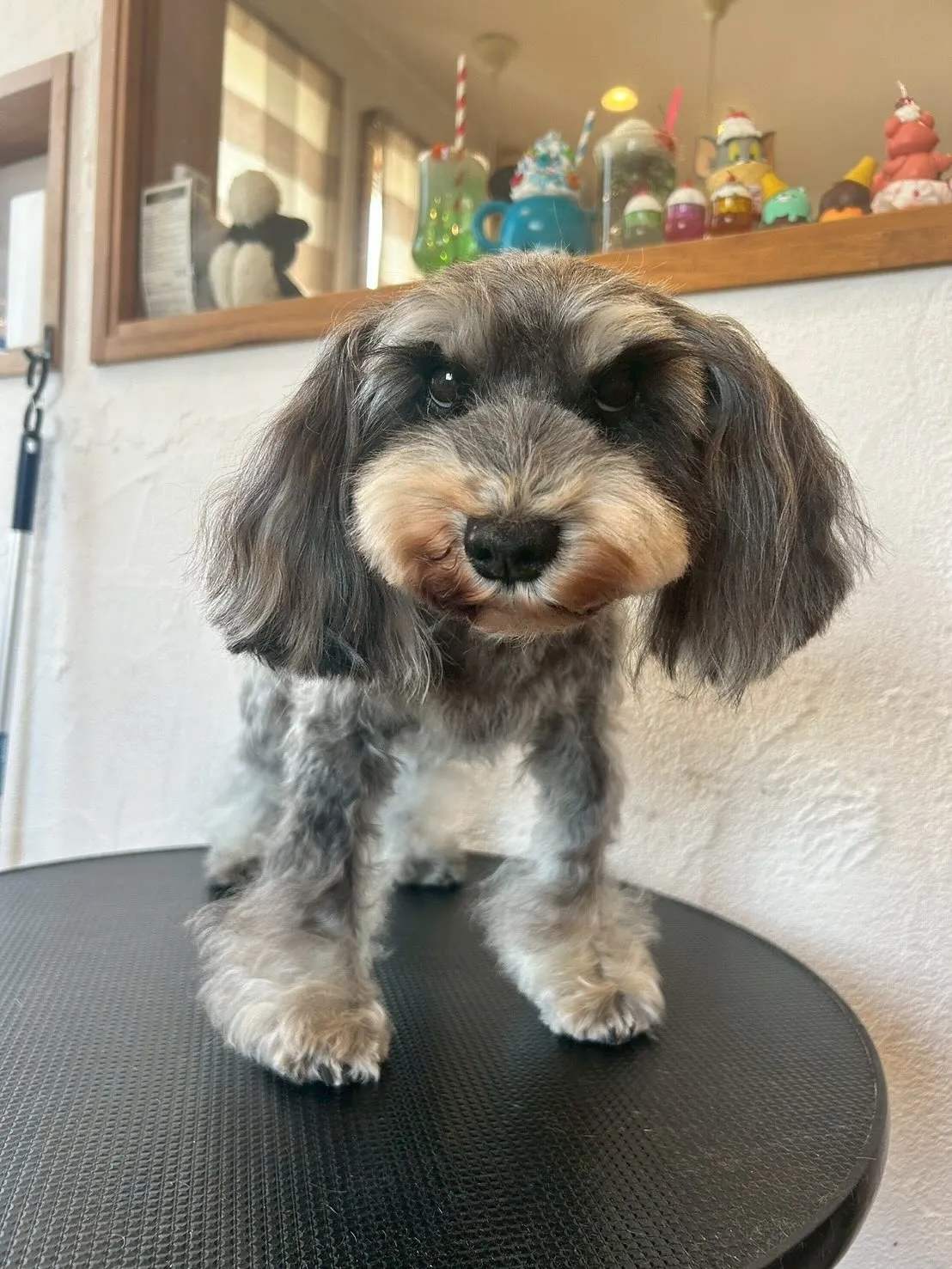 🐾 E-bashoへようこそ!