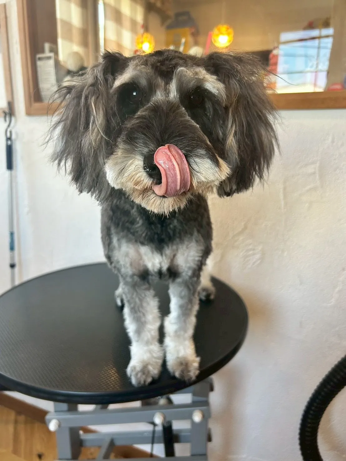 🐾 E-bashoへようこそ!