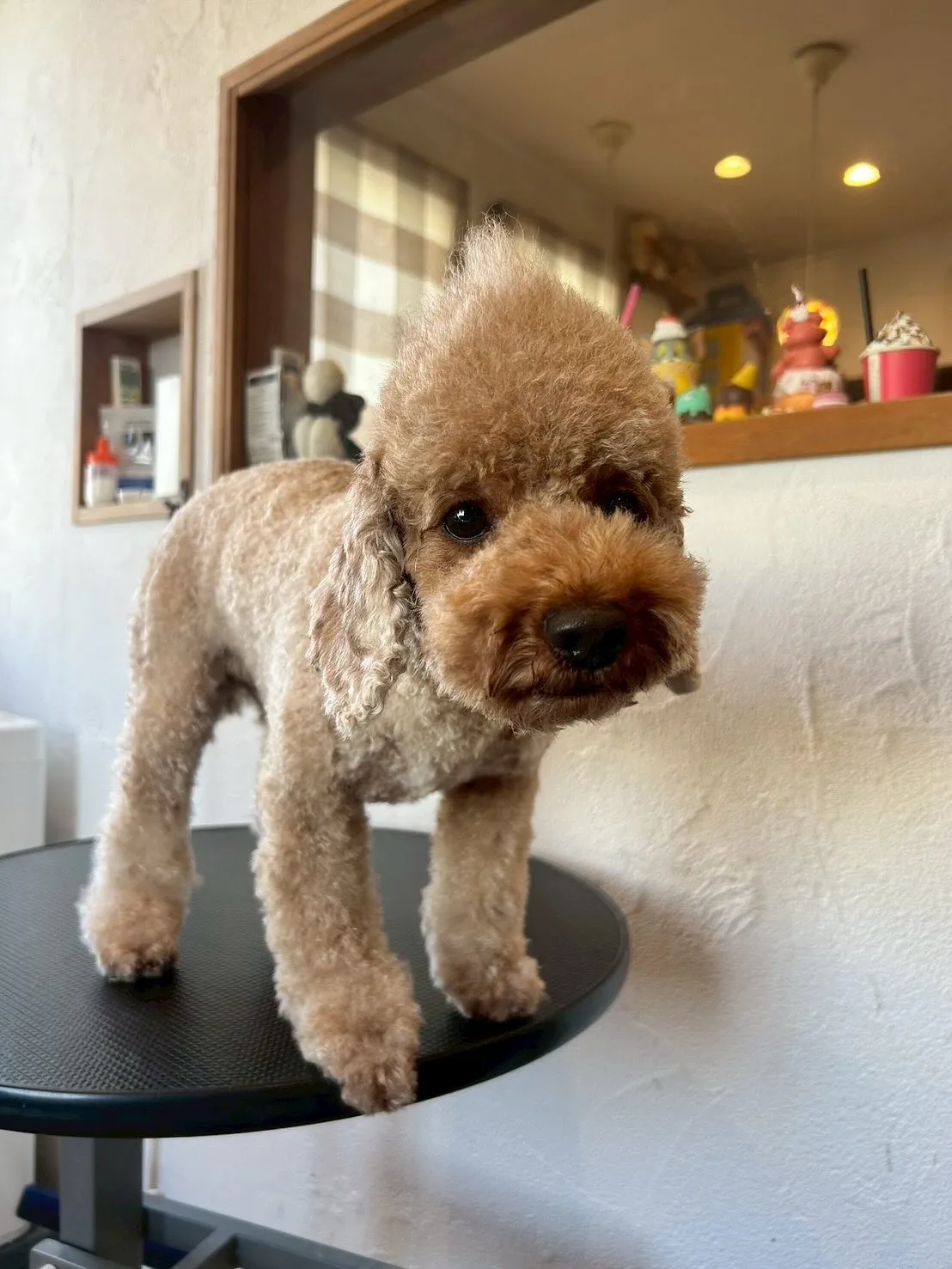 🐾 E-bashoへようこそ!