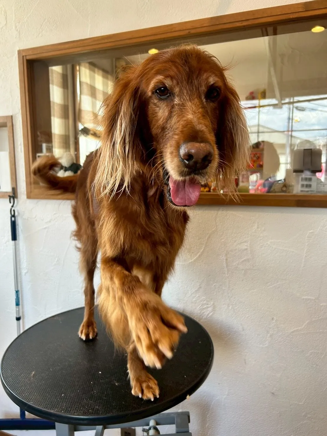 本日も可愛いショットをご紹介します！🌟