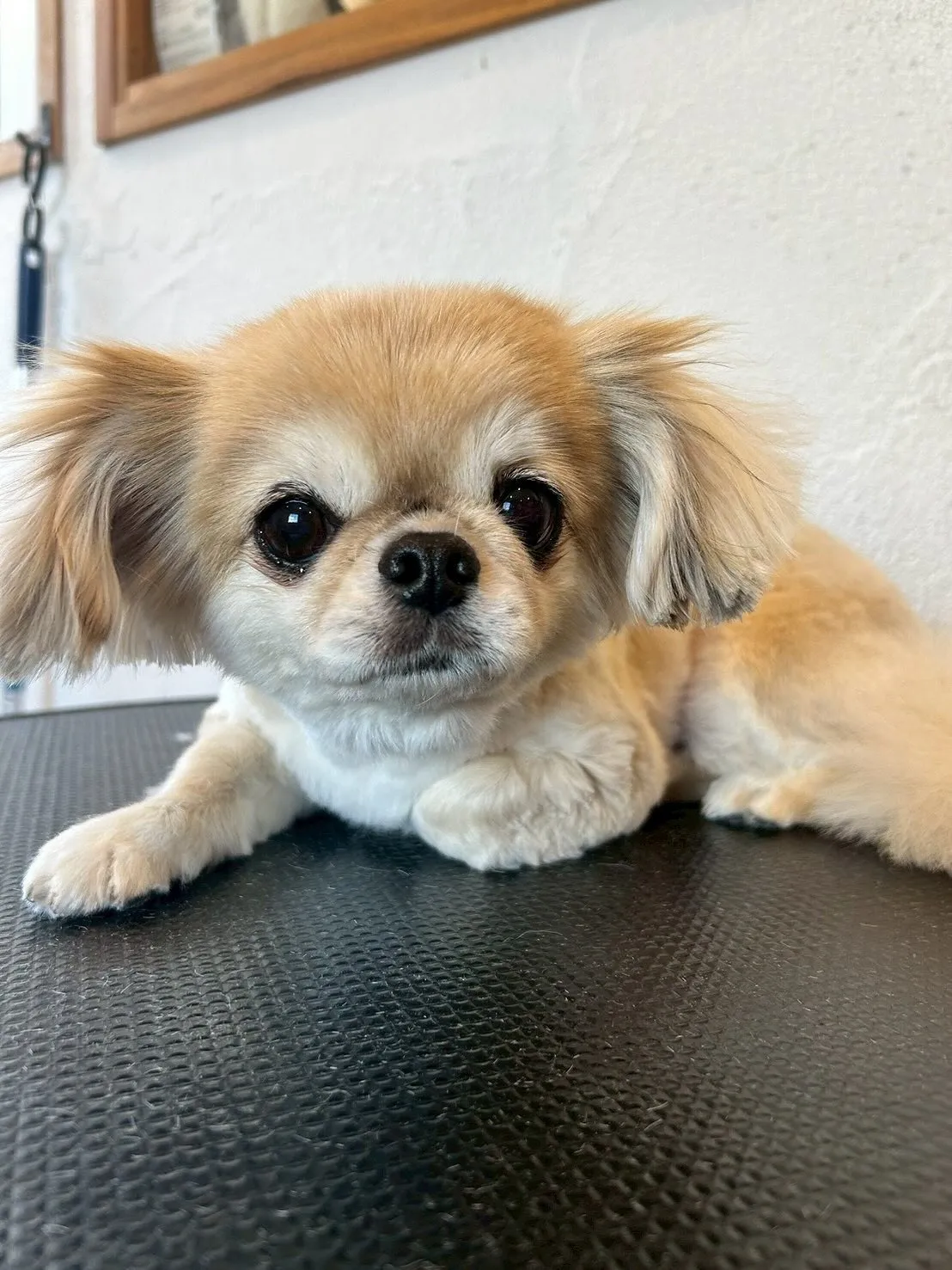 本日も可愛いショットをご紹介します！🌟